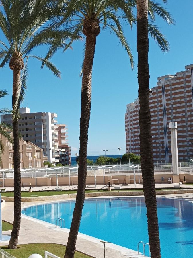 Ferienwohnung Almar Collection Cullera Bahia Park Exterior foto